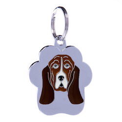 Bassett Hound