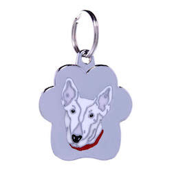 Bull Terrier
