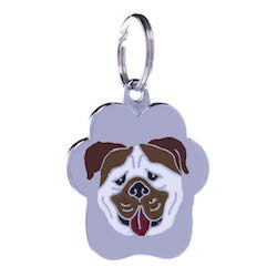 English Bulldog