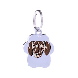 Dachshund Miniature