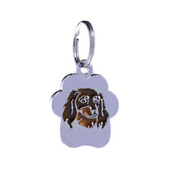 Dachshund Wirehaired