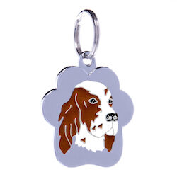English Setter