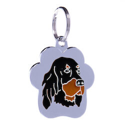 Gordon Setter