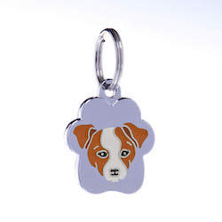 Jack Russell
