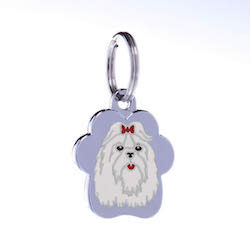 Maltese Long Haired