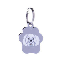 Maltese Short Haired