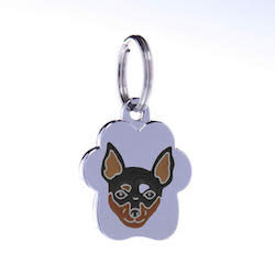 Pinscher