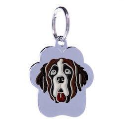 Saint Bernard