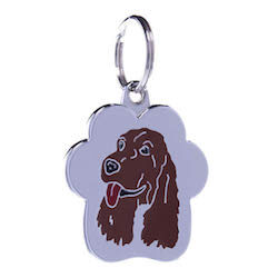 Cocker Spaniel