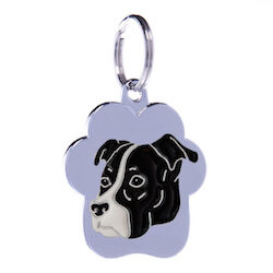 Staffordshire Bull Terrier