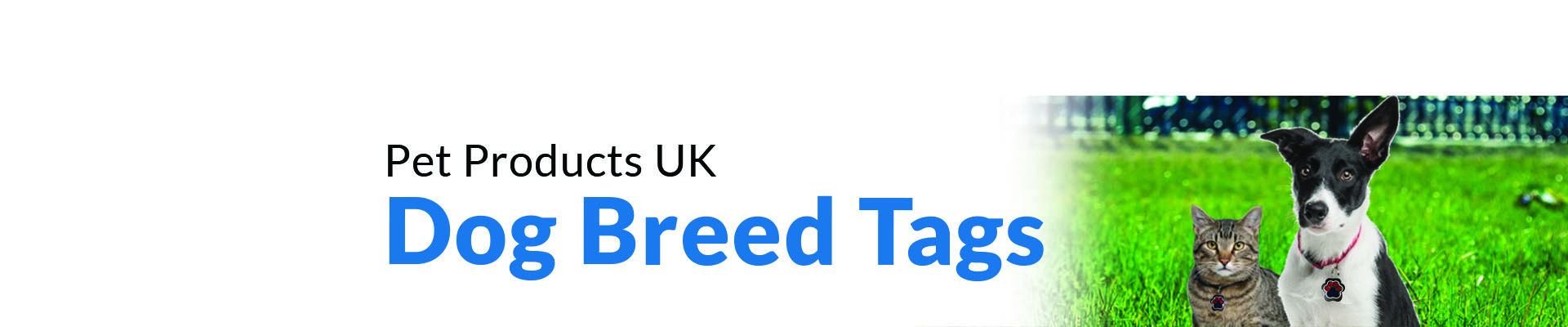 dog_breeds
