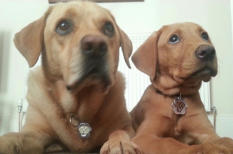 Jake & Max